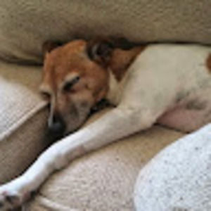 Meet your Posher, Ben